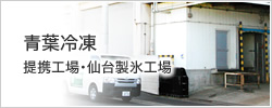 青葉冷凍