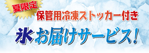 夏限定　保管用冷凍ストッカー付き  氷お届けサービス！